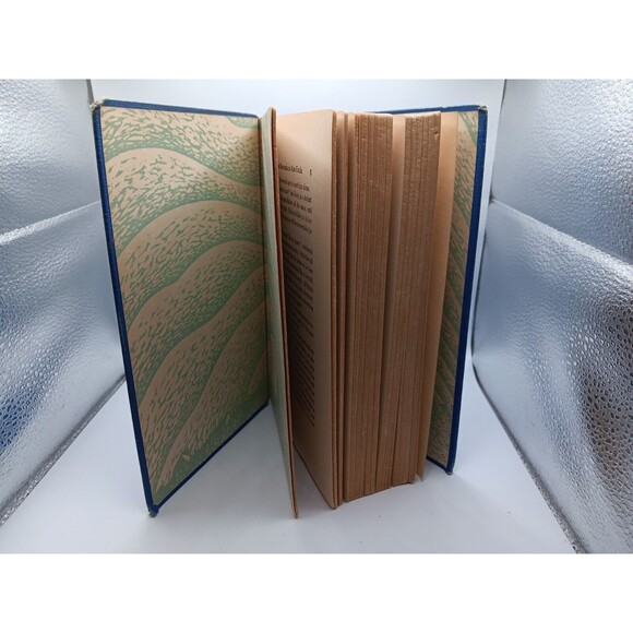 VINTAGE 1933 HEIDI HARDCOVER BOOK “COLOR ILLUSTRATION” - Picture 2 of 9